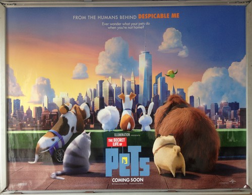 Cinema poster secret life of - secret,